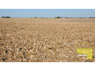 Property photo 3 - 1,153 +/- Acres offered in 15 TractsLAND AUCTION